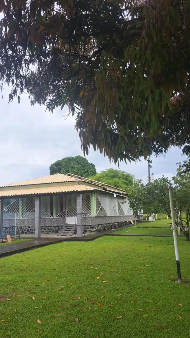 Casa de sítio em Itajuípe com o telhado novo, vista debaixo das árvores